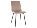 Trpezarijska stolica DAREN