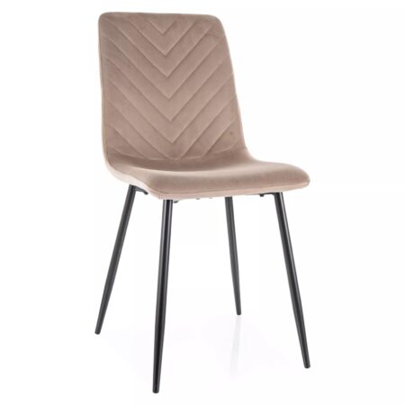 Trpezarijska stolica DAREN