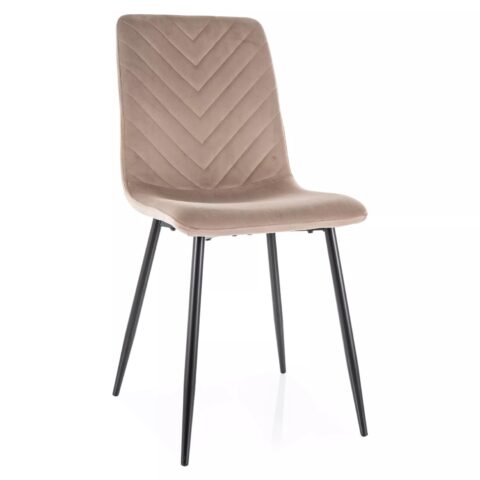 Trpezarijska stolica DAREN