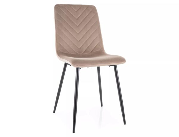 Trpezarijska stolica DAREN