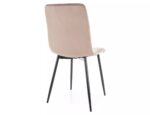 Trpezarijska stolica DAREN