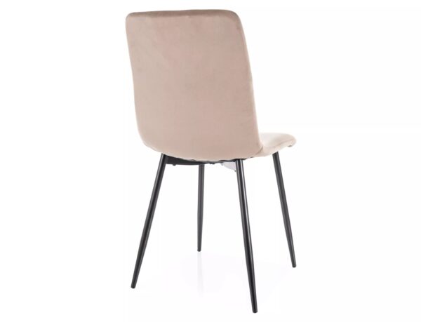 Trpezarijska stolica DAREN