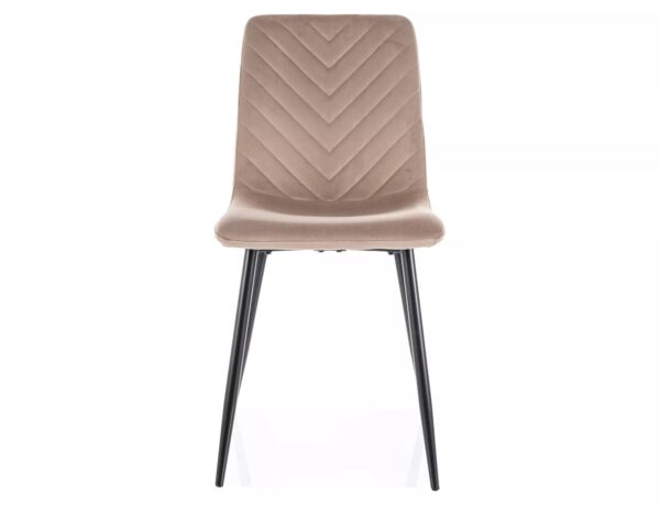 Trpezarijska stolica DAREN