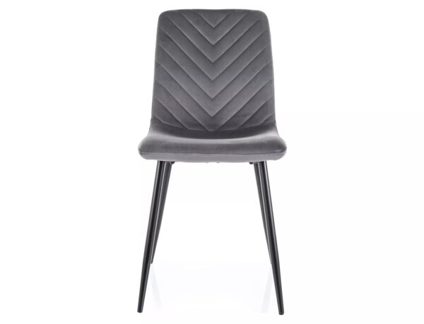 Trpezarijska stolica DAREN